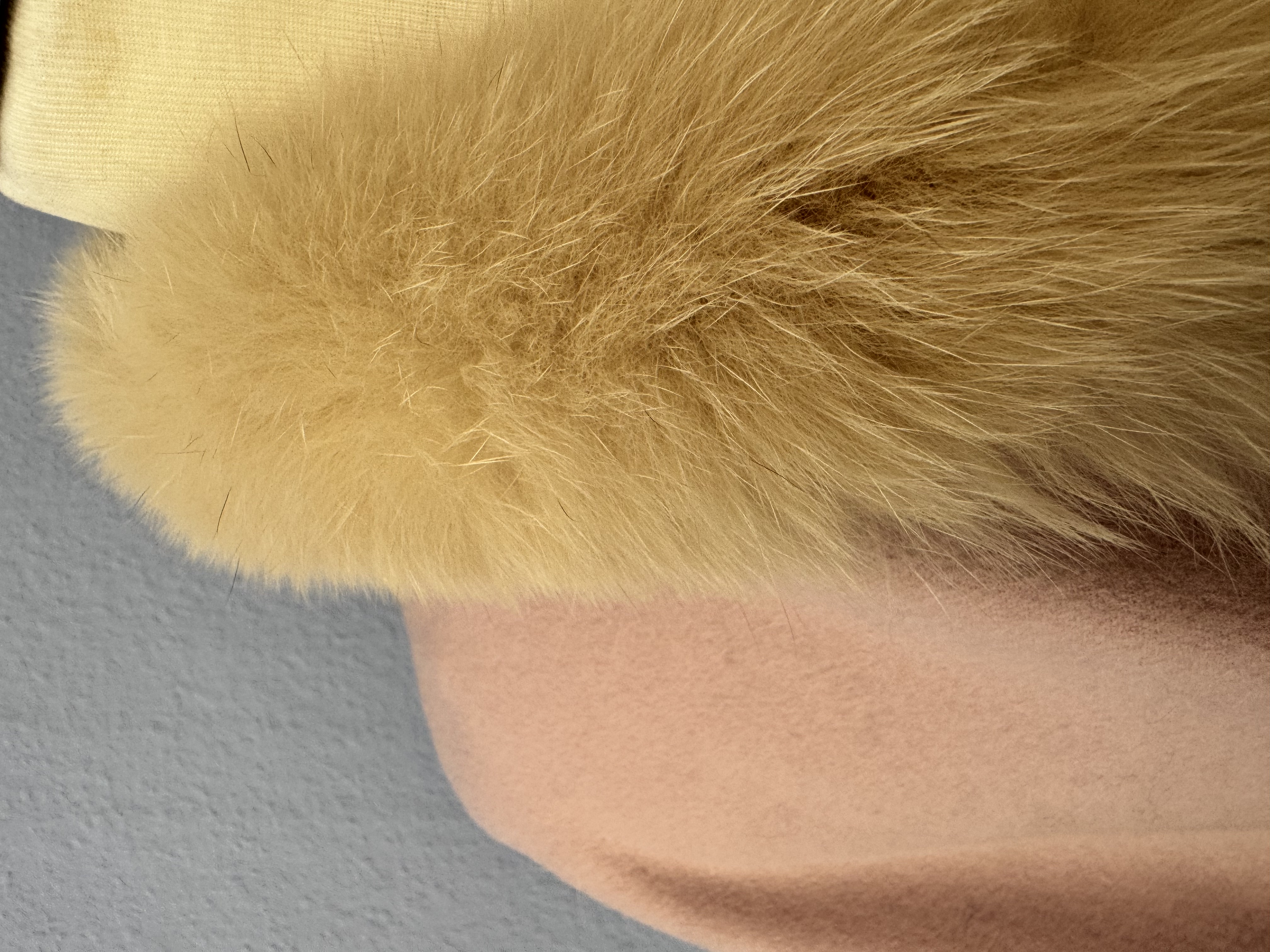 Cape 5 – Detailansicht